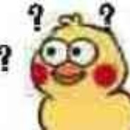 观蝼蚁之争甚是有趣