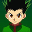 gon