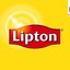 .noclips Lipton0_0