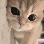 悲观理想派小学生