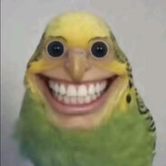 twedeli  bofink