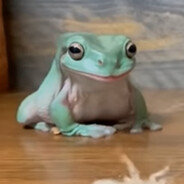 Kimi