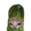 Mildly menacing pickle woman