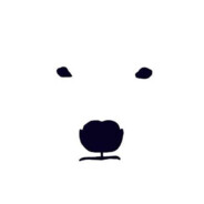 我叫王安全，選我最安