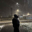 белый принц