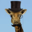 giraffe_lord