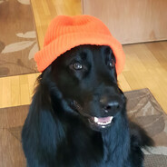 Aleksey
