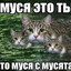 mbntcy