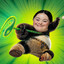 Kung Fu Pandown