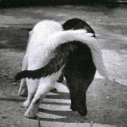 k-j drinkers. zero W*G