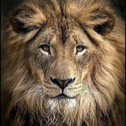 Judah - steam id 76561197961794942