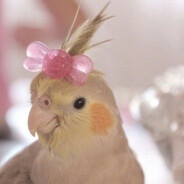 goanna.banana avatar