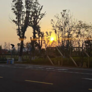 龙井不加盐kkluv