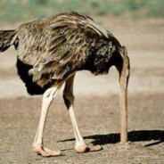 天才麻将少女刘斩仙