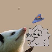 Possum holding a rock with a hat