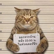 两个箱子出了金