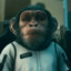 杰MonkeyKing's avatar