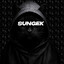 Sungek_