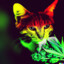 weed cat