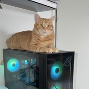 Avatar snapshot