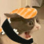 Memes_land