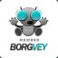 Borgvey
