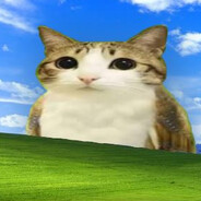 Le Meowl