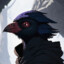 Quid Pro Crow