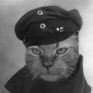 groszek avatar