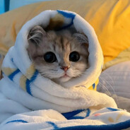 Алексей Князев