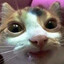 fANG