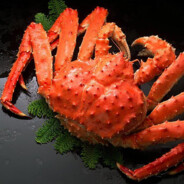 Камчатский краб