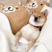 凌晨四点逛大街