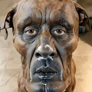 Doggo