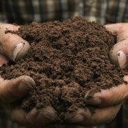 Mud Master, Master of Mud