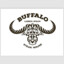 Buffalo