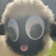 这把由我来掌勺