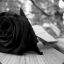 BLACKROSES-