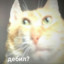 banan.2973