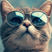 哈基咪哈基咪哈基咪