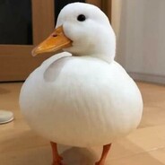 没事队友会出手