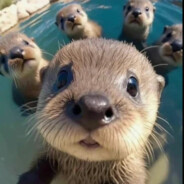 温柔的寒冰射手