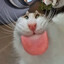 꼬마