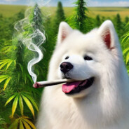 High Dog ©®™