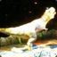 nishpatel_