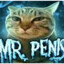 Mr. Penis