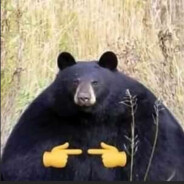 TEDDY