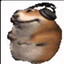 Ins1gn