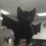 professional minecraft player