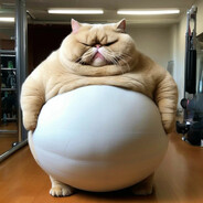 _Fat_cat_